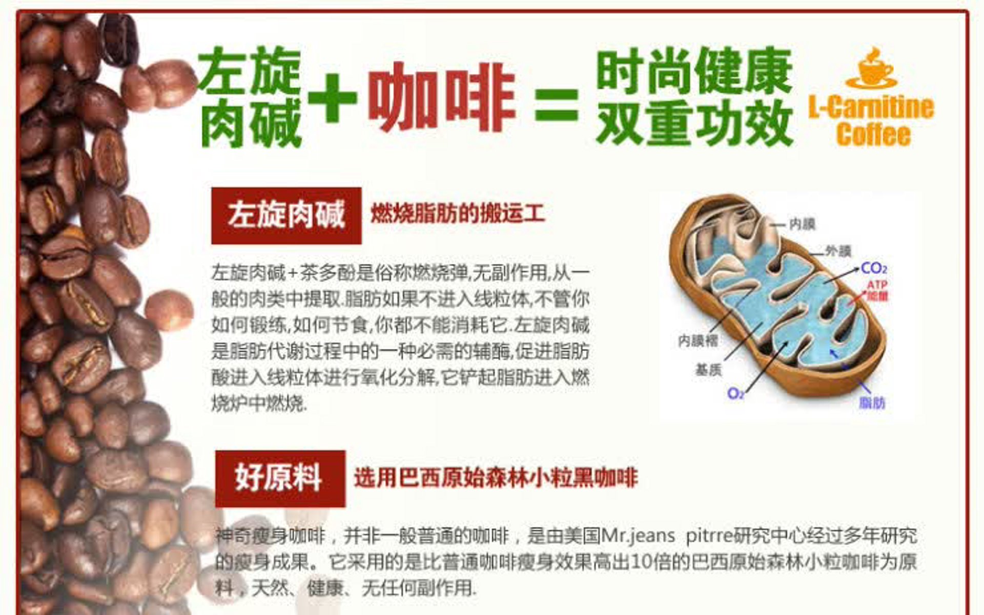左旋肉碱咖啡